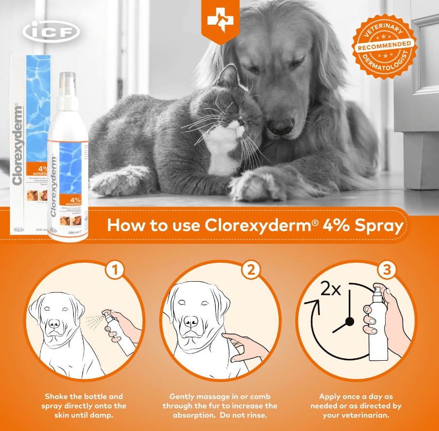 Hogyan használjha a clorexyderm Spray Oldatot kutyája vagy macskája bőrén? Homevet
